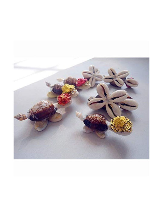 Mini Seashell Turtle Decorative 10 Pieces