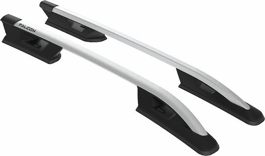 Turtle (with Roof Rack Legs) Silver