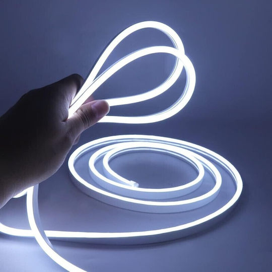 LED Strip COB with White Light Coil 100m 220V RL16397