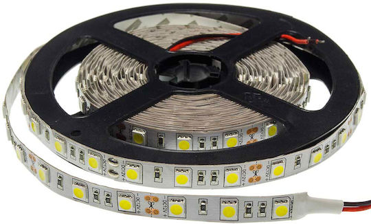 Vito LED-Streifen 12V Warmes Weiß Licht 5m Typ SMD2835 mit Netzteil