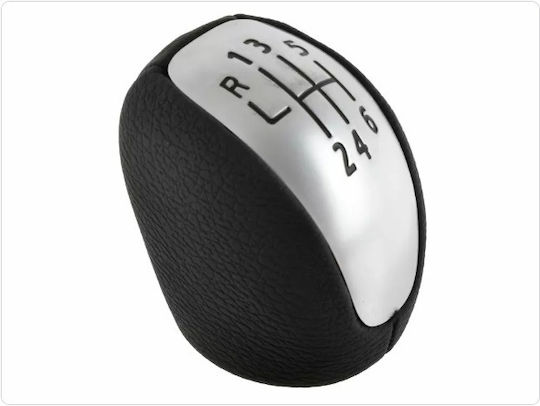 NTY 6 Shift Knob for Renault Laguna III 2007+ Silver /AJ