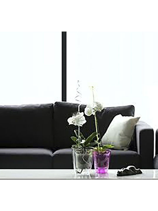 Iliadis Coubi Orchid Planter Plastic Transparent 13x13x16cm.