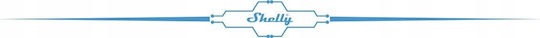Shelly BLU RC 4 Smart Button Dimmer Bluetooth BLUWallswitch4