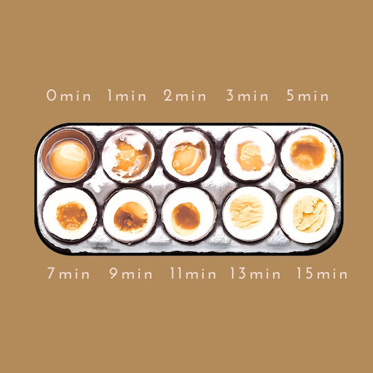 Dynamic Βραστήρας Αυγών 38x29.5x30εκ.