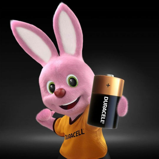 Duracell Baterii alcaline D 1.5V 6 buc