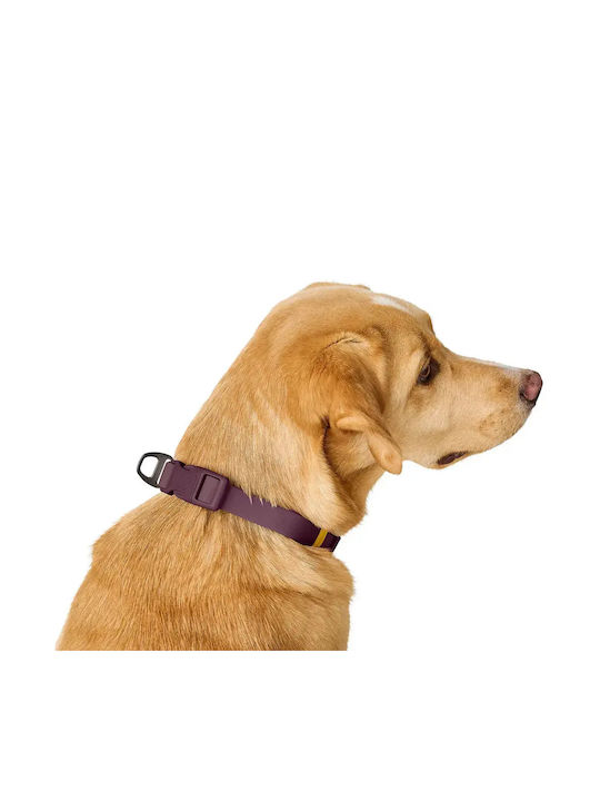 Hunter Hundehalsband Havana Klammer XLarge Hellgrau