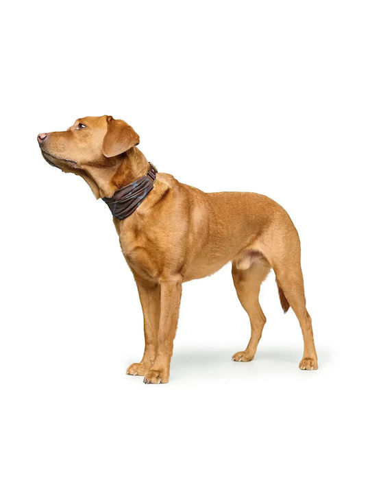 Ошийник Hunter Ergonomic Ronda Small Medium Таупе