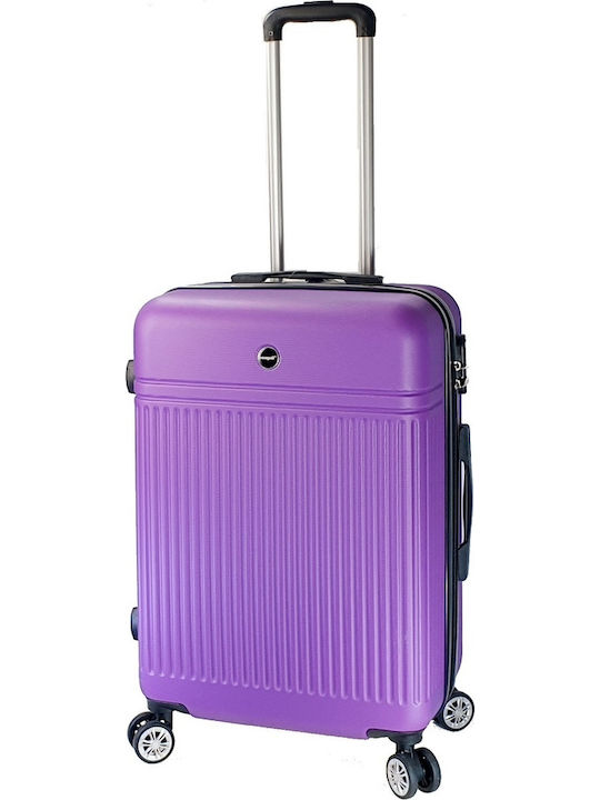 Seagull Hard Purple Travel Suitcases Set of 2 Pieces