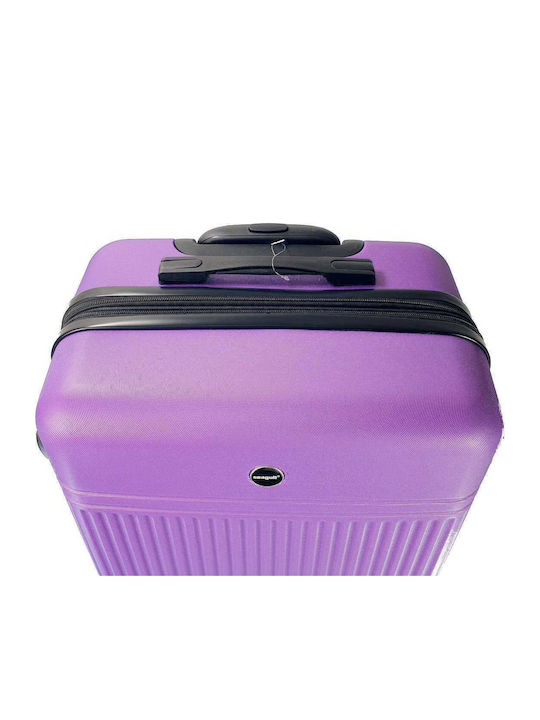 Seagull Hard Purple Travel Suitcases Set of 2 Pieces