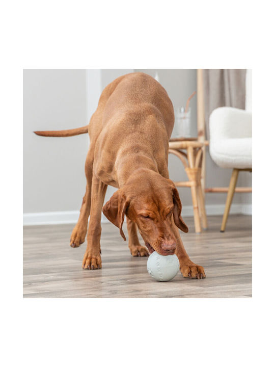 Trixie Топка Играчка За Кучета Chew Toy От Каучук Trixie Топка Играчка За Кучета Chew Toy От Каучук