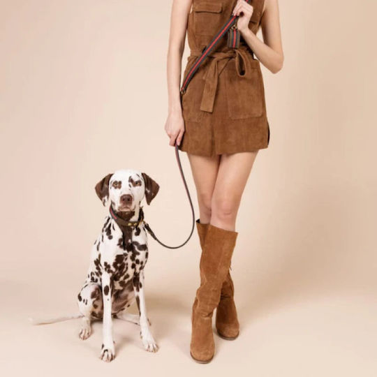 William Walker Foldable Dog Leash Lead Leather