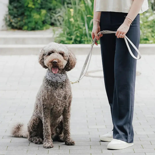 Hunter Training Dog Leash Strap in Brown Color 2m x 2cm