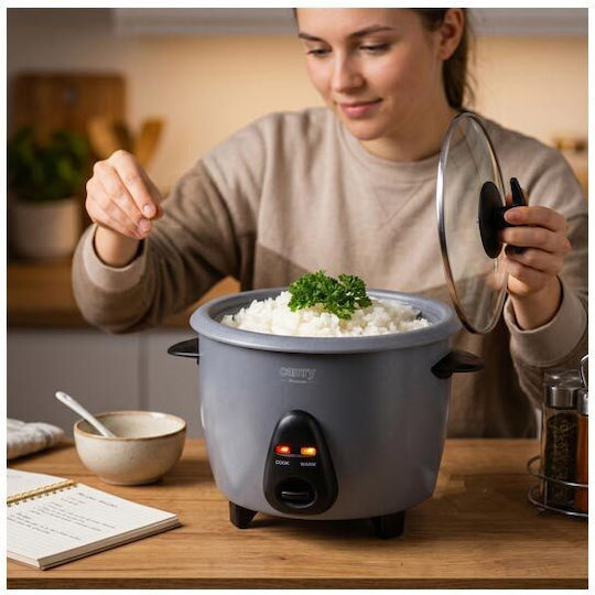 Camry Rice Cooker 400W with Capacity 1lt