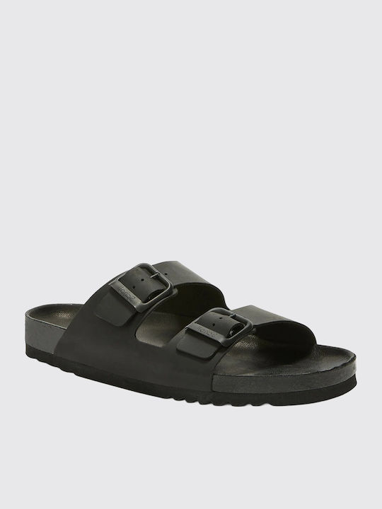 Scholl