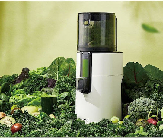 Hurom Storcător de fructe cu presare lentă 150W Gri