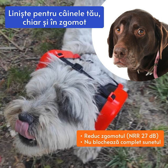 Dopuri De Urechi În Culoare Portocalie