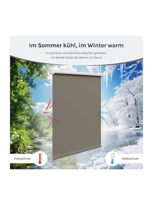 Woltu Woltu Rollos Verdunkelung Grau P60xH150cm