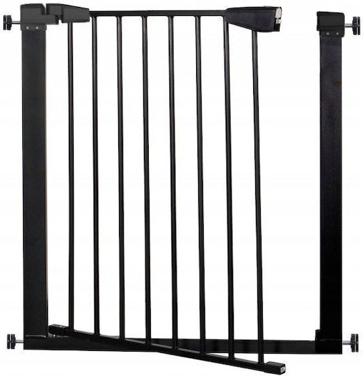 Security Door