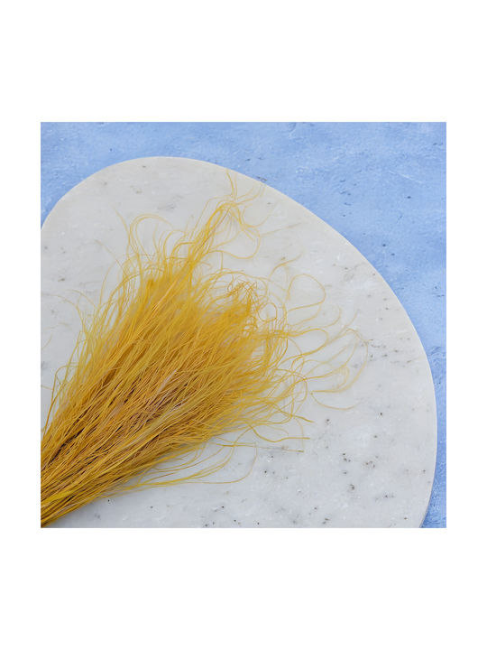 Dried Stipa Feather Grass Stipa Pennata Ginger
