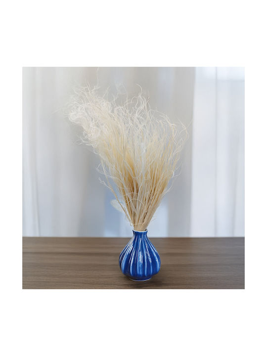 Dried Stipa Feather Grass Stipa Pennata Bleached