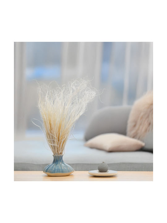 Dried Stipa Feather Grass Stipa Pennata Bleached