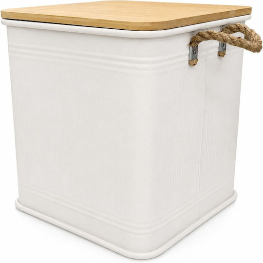Metallic Storage Box with Lid