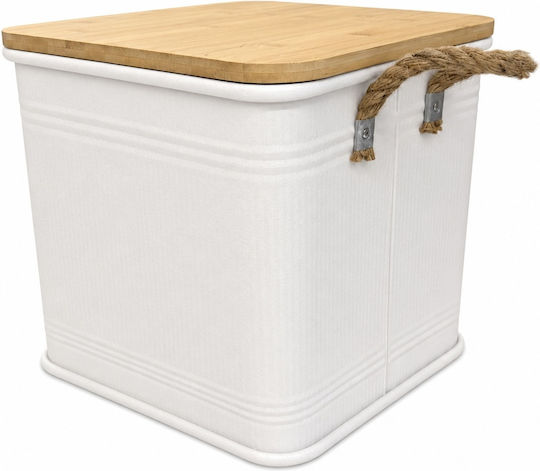 Metallic Storage Box with Lid
