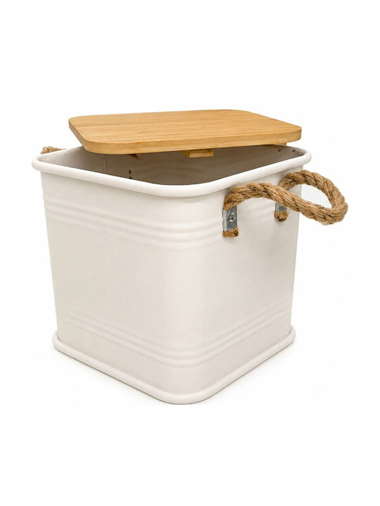 Metallic Storage Box with Lid Beige 26x26x26cm