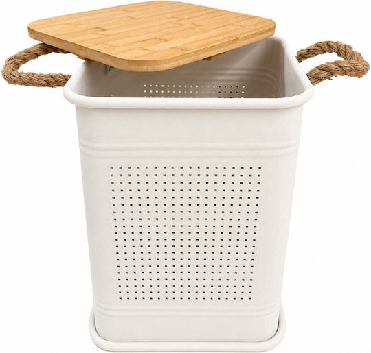 Metallische Aufbewahrungsbox mit Deckel Beige 28x28x41cm