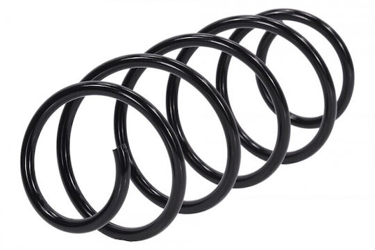 NTY Federbein Für Citroen C2 2003-2012