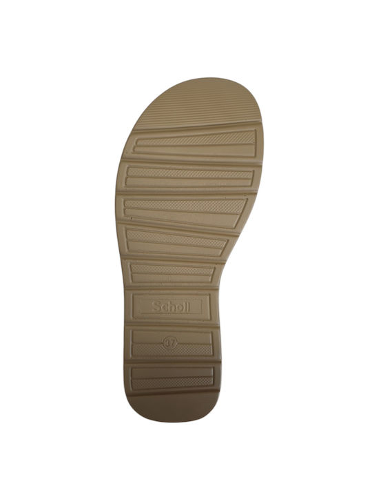 Damen Anatomische Flache Türkis Sandalen