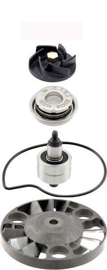 RMS Reparaturset Für Motorradmotorwasserpumpe Aprilia Scarabeo Gilera Nexus / Runner Piaggio Beverly 250