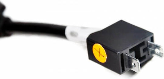 AMiO Car Warning Canceller CAN Bus for H7 Lamp 12V 1 Quantity
