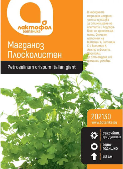 Σπόροι Μαϊντανός