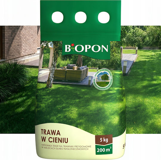 Bros Σπόροι Λάχανου Πράσινο 5kg