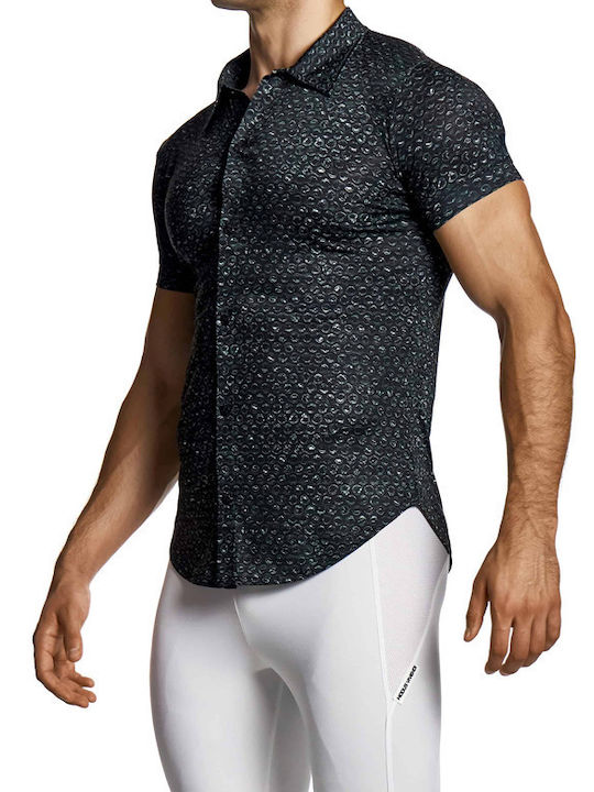 Modus Vivendi