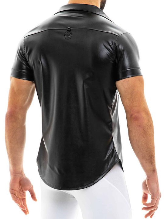 Modus Vivendi