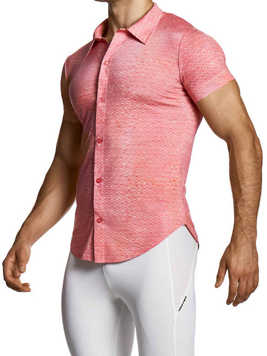 Modus Vivendi