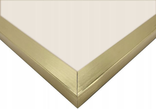 Focus Ivy Plastic Photo Frame With Gold Frame