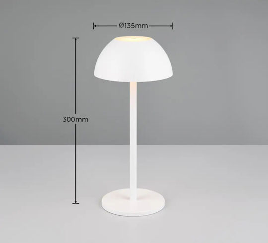 Trio Lighting Διακοσμητικό Φωτιστικό LED Θερμό Λευκό 3000K 13x13x30εκ.