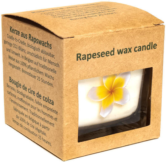 Yogi & Yogini Lumânări Aromatice Lemn De Santal Yogi & Yogini Lumânări Aromatice Lemn De Santal