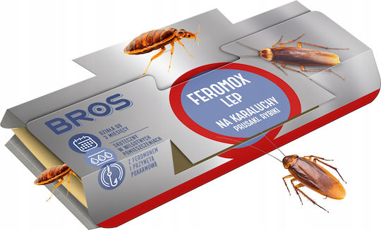 Bros Παγίδα για Κατσαρίδες με Κολλητική Επιφάνεια 10τμχ