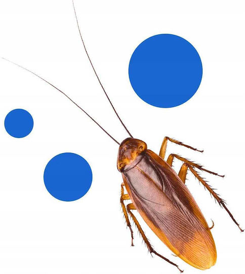 Bros Παγίδα για Κατσαρίδες με Κολλητική Επιφάνεια 10τμχ