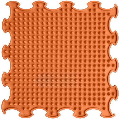 Ortoto Educational Kids Floor Puzzle 8 Pieces
