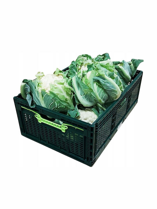 Coș De Depozitare Din Plastic Verde 46lt
