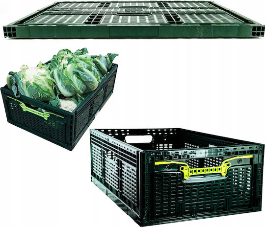 Plastic Green Storage Basket 46lt