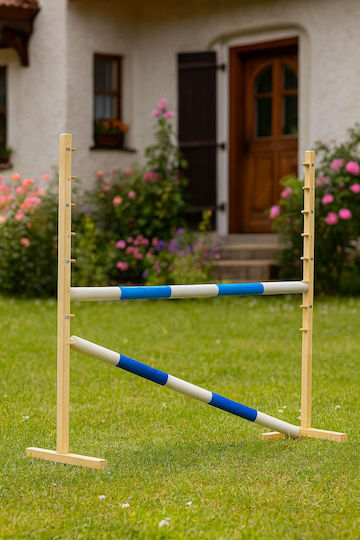 Super Hobby Horse Joc