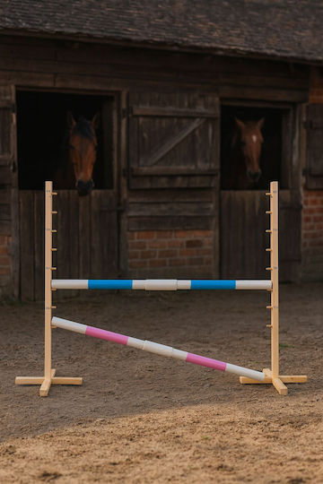 Super Hobby Horse Παιχνίδι