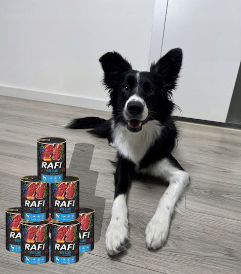 Rafi Hrana Umedă Pentru Câini Dietetică cu Miel și Carne de Vită Fără Cereale 12x400gr