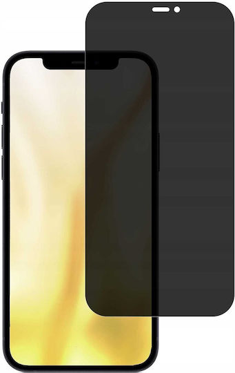 Spacecase 2.5D 0.33mm Privacy Tempered Glass (iPhone 12 mini)